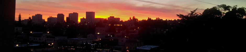 All The City Lights
