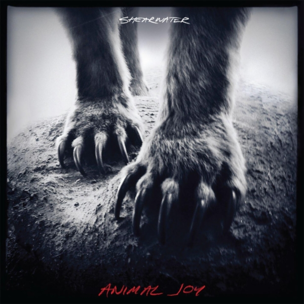 Cover art for "Animal Joy" by Shearwater